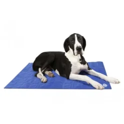 Scruffs Cooling Mat -Kattenbenodigdheden Winkel 043f7d3c8877045b1ba4263deea4843ce999dec4e4d2fcaabbc5cb4b9e13912c 3
