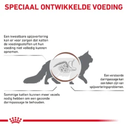 Royal Canin Fibre Response Kat 15 Royal Canin Fibre Response Kat -Kattenbenodigdheden Winkel 0tMp9E3fvJRC05dRih0UwBDsli36jA metaR0FTVFJPSU5URVNUSU5BTC1GSUJSRS1SRVNQT05TRS0zLmpwZw