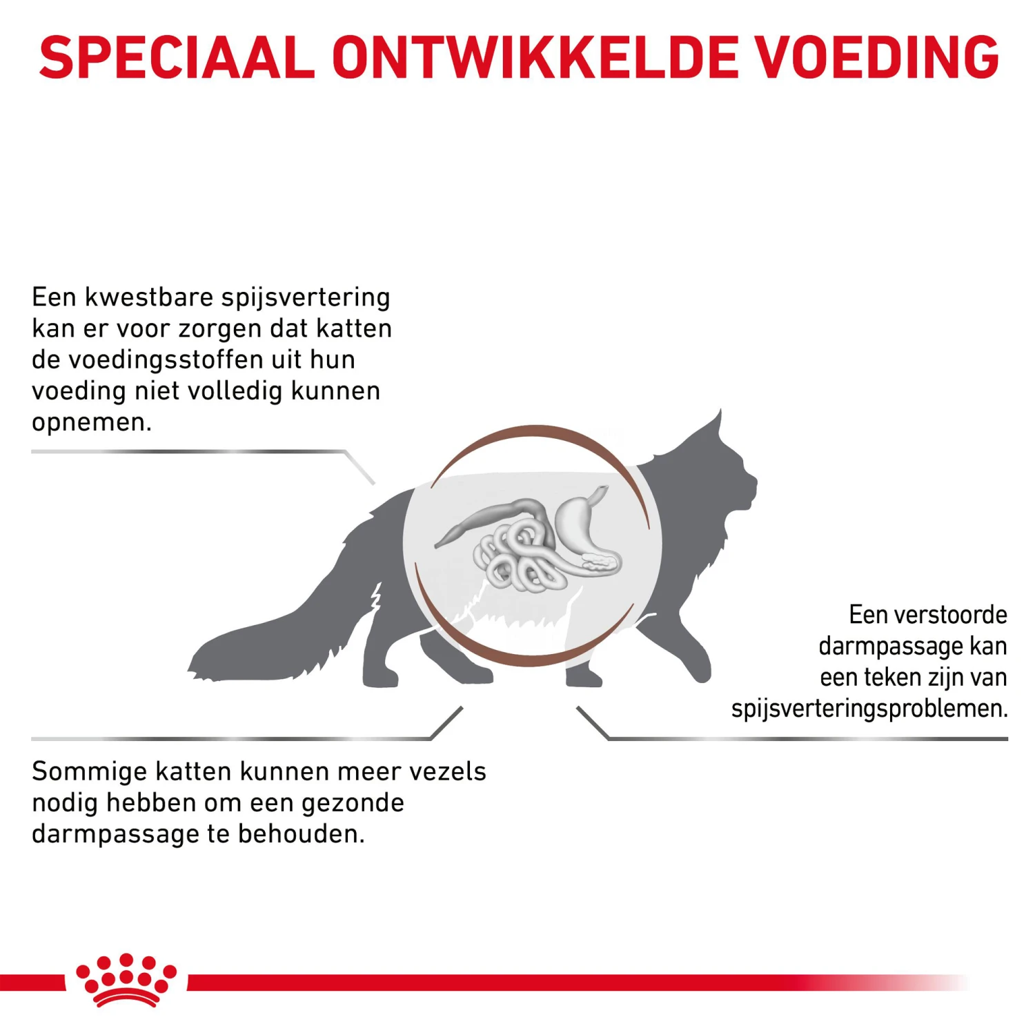 Royal Canin Fibre Response Kat 4 Royal Canin Fibre Response Kat - Afbeelding 4