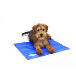 Scruffs Cooling Mat -Kattenbenodigdheden Winkel 268273fa7c4d43cf3bcfbca7bb68186e6d8bde301c1453c5a3b37b0c48b918e1 3