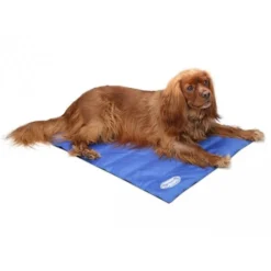 Scruffs Cooling Mat -Kattenbenodigdheden Winkel 31778eda32f4fb3b47dfbcda3ff12197eadd0f3bf2e18272426fe76ea961f2e6 3