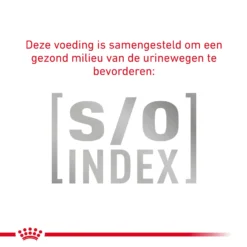 Royal Canin Fibre Response Kat 18 Royal Canin Fibre Response Kat -Kattenbenodigdheden Winkel 3LFgwyqpm3Oi3IxfenULcOzRnKFgGj metaR0FTVFJPSU5URVNUSU5BTC1GSUJSRS1SRVNQT05TRS02LmpwZw