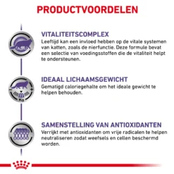Royal Canin VCN - Mature Consult Balance - Cat - Maaltijdzakje -Kattenbenodigdheden Winkel 6PZAn21EdlDGwBvQ2brWp4qP9vYPLj metaTUFUVVJFLUNPTlNVTFQtQkFMQU5DRS0zLmpwZw
