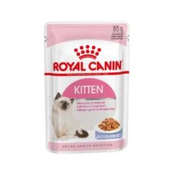 Royal Canin Kitten In Jelly - Kattenvoer -Kattenbenodigdheden Winkel 6d62fcac64ee5d0c981d6d9cece20ac618ecea356982cb6303d53c8880fe5f26 3 5