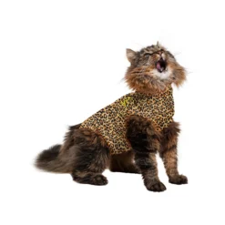 Medical Pet Shirt Kat Luipaard Print -Kattenbenodigdheden Winkel 78b0224a232702469a9ad9f7512de938e62b60c918ddb939fd57be2c81c07eca 3