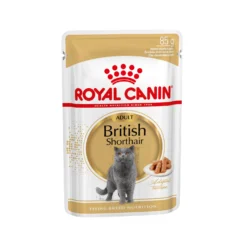 Royal Canin British Shorthair Adult Wet - Kattenvoer 17 Royal Canin British Shorthair Adult Wet - Kattenvoer -Kattenbenodigdheden Winkel 7eddeaa797f089020d810a85360375f884680e6df17318052cca9ac7c7cb3b00 3 5