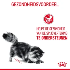 Royal Canin Digestive Care In Gravy - Kattenvoer -Kattenbenodigdheden Winkel ArELC5MRoxiyJSCYOslvuIRNg5AVhp metaUm95YWwtQ2FuaW4tRGlnZXN0aXZlLUNhcmVfMDEuanBn