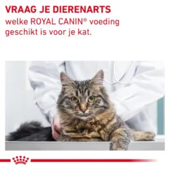 Royal Canin Fibre Response Kat 22 Royal Canin Fibre Response Kat -Kattenbenodigdheden Winkel BmGR1tfIZkXKMEzmmxcudUqHexxJqZ metaR0FTVFJPSU5URVNUSU5BTC1GSUJSRS1SRVNQT05TRS0xMC5qcGc