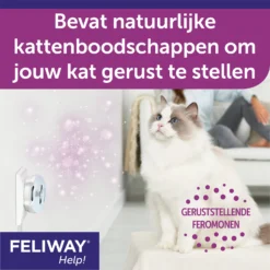 Feliway Help! 19 Feliway Help! -Kattenbenodigdheden Winkel Cn7Q3QiUqYkRHjY6Boh7Ai6HXU67UI metaRmVsaXdheS1IZWxwLUNhcm91c3NlbC01LmpwZw
