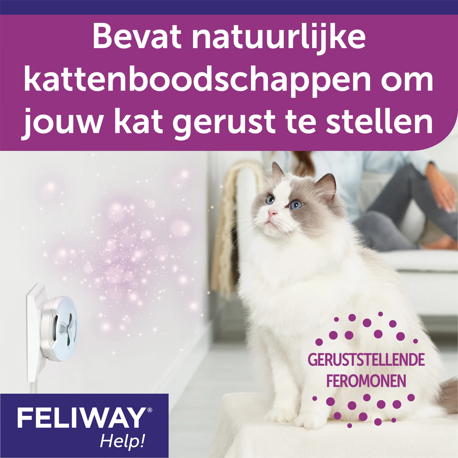 Feliway Help! 7 Feliway Help! - Afbeelding 7