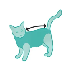 Suitical Recovery Suit Kat -Kattenbenodigdheden Winkel DyRL8fhSRm4Wf5AgwbiqB50D0Rd4rc metac3VpdGljYWxfcmVjb3Zlcnlfc3VpdF9rYXRfMjAyNTIzXzA1MDBfbm9uZS5qcGc