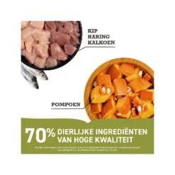 Acana First Feast - Kittenvoer 7 Acana First Feast - Kittenvoer -Kattenbenodigdheden Winkel F66rocnBifnqIsTfauA7DpfUYT17S4 metaYWNhbmFfZmlyc3RfZmVhc3RfX2tpdHRlbnZvZXJfMjA1MjQ0XzE1MDBfbm9uZS5wbmc