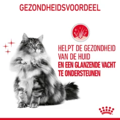 Royal Canin Hair & Skin In Gravy - Kattenvoer -Kattenbenodigdheden Winkel MnRGVtu8Y4Y8CuEu4Mdn5Rb9cOFGPr metaUm95YWwtQ2FuaW4tSGFpci0mLVNraW4taW4tR3JhdnlfMDQuanBn
