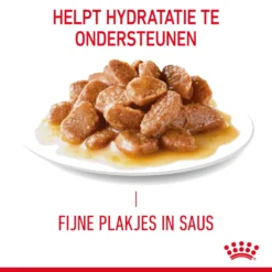 Royal Canin Urinary Care In Gravy - Kattenvoer -Kattenbenodigdheden Winkel Sc4nGKJYWCibTFNzpquL4HRHWqVv9Q metaUm95YWwtQ2FuaW4tVXJpbmFyeS1DYXJlLWluLUdyYXZ5XzAyLmpwZw