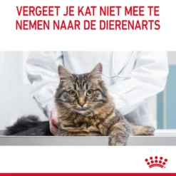 Royal Canin Urinary Care In Gravy - Kattenvoer -Kattenbenodigdheden Winkel SgAi7KJXY4sguyqLbKwJ77y5Gq3bzq metaUm95YWwtQ2FuaW4tVXJpbmFyeS1DYXJlLWluLUdyYXZ5XzA2LmpwZw