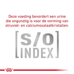Royal Canin Urinary S/O Kat -Kattenbenodigdheden Winkel VpgXQjpSvGNGPyyzUe0SVeDT9IxIXC metaVVJJTkFSWS1TTy1MT0FGLTguanBn