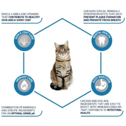 Affinity Advance Adult Kip En Rijst - Kat -Kattenbenodigdheden Winkel affinity advance adult kip en rijst kat 178249 1500 none