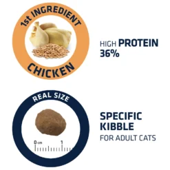 Affinity Advance Adult Kip En Rijst - Kat -Kattenbenodigdheden Winkel affinity advance adult kip en rijst kat 178252 1500 none