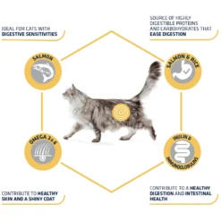 Affinity Advance Adult Salmon Sensitive - Kat 10 Affinity Advance Adult Salmon Sensitive - Kat -Kattenbenodigdheden Winkel affinity advance adult salmon sensitive kat 178666 1500 none