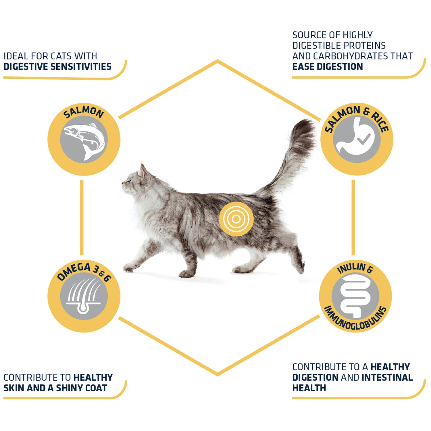 Affinity Advance Adult Salmon Sensitive - Kat 4 Affinity Advance Adult Salmon Sensitive - Kat - Afbeelding 4
