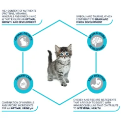 Affinity Advance Kitten Kip En Rijst 10 Affinity Advance Kitten Kip En Rijst -Kattenbenodigdheden Winkel affinity advance kitten kip en rijst kat 178231 1500 none