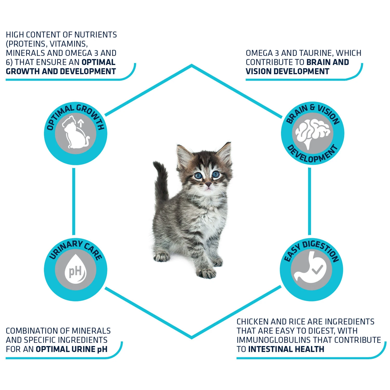 Affinity Advance Kitten Kip En Rijst 4 Affinity Advance Kitten Kip En Rijst - Afbeelding 4