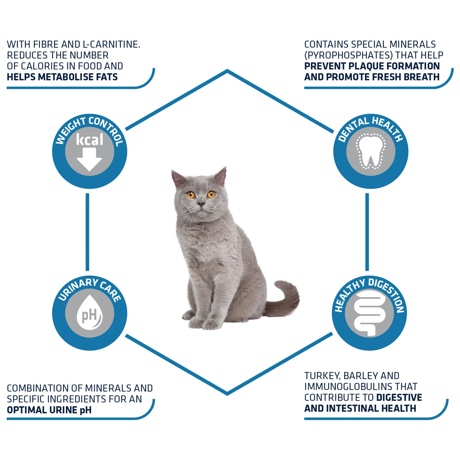 Affinity Advance Sterilized Kalkoen - Kat 4 Affinity Advance Sterilized Kalkoen - Kat - Afbeelding 4