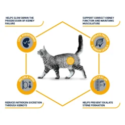 Affinity Advance Veterinary Diets Renal Kat 11 Affinity Advance Veterinary Diets Renal Kat -Kattenbenodigdheden Winkel affinity advance veterinary diets renal kat 176884 1500 none