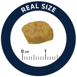 Affinity Advance Veterinary Diets Renal Kat 13 Affinity Advance Veterinary Diets Renal Kat -Kattenbenodigdheden Winkel affinity advance veterinary diets renal kat 176890 0500 none