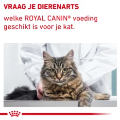 Royal Canin VCN - Mature Consult Balance - Cat - Maaltijdzakje -Kattenbenodigdheden Winkel auqYuMrpG2AEQj9IgtKtDMGtV3YXT4 metaTUFUVVJFLUNPTlNVTFQtQkFMQU5DRS04LmpwZw