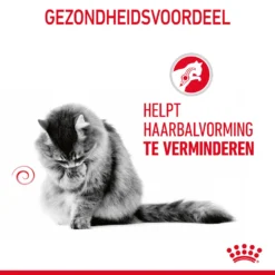 Royal Canin Hairball Care In Gravy - Kattenvoer -Kattenbenodigdheden Winkel b5BGZndEVRARBU6xTTXdGdZB9ZfBvZ metaUm95YWwtQ2FuaW4tSGFpcmJhbGwtQ2FyZS1pbi1HcmF2eV8wMi5qcGc