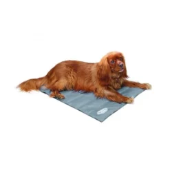 Scruffs Cooling Mat -Kattenbenodigdheden Winkel bceca7ec87761528fb71b6c6fe588e9227233066c67512090048d172804a696d 3