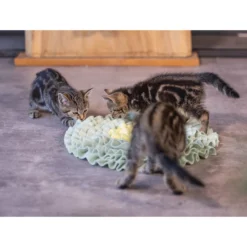 Beeztees Kitten Snuffelmat Flowie -Kattenbenodigdheden Winkel beeztees kitten snuffelmat flowie 216526 2000 none