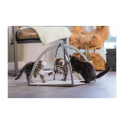 Beeztees Kitten Speelkleed Xabia -Kattenbenodigdheden Winkel beeztees kitten speelkleed xabia 216531 2000 none