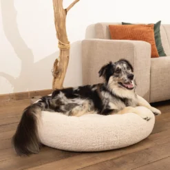 Beeztees Memory Foam Jaxx - Hondenmand - Pluche 27 Beeztees Memory Foam Jaxx - Hondenmand - Pluche -Kattenbenodigdheden Winkel beeztees memory foam jaxx hondenmand pluche beige 184432 1000 none