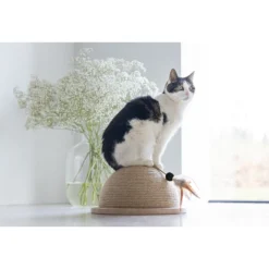 Designed By Lotte Halve Krabbol Vivi -Kattenbenodigdheden Winkel designed by lotte halve krabbol vivi 221562 1500 none