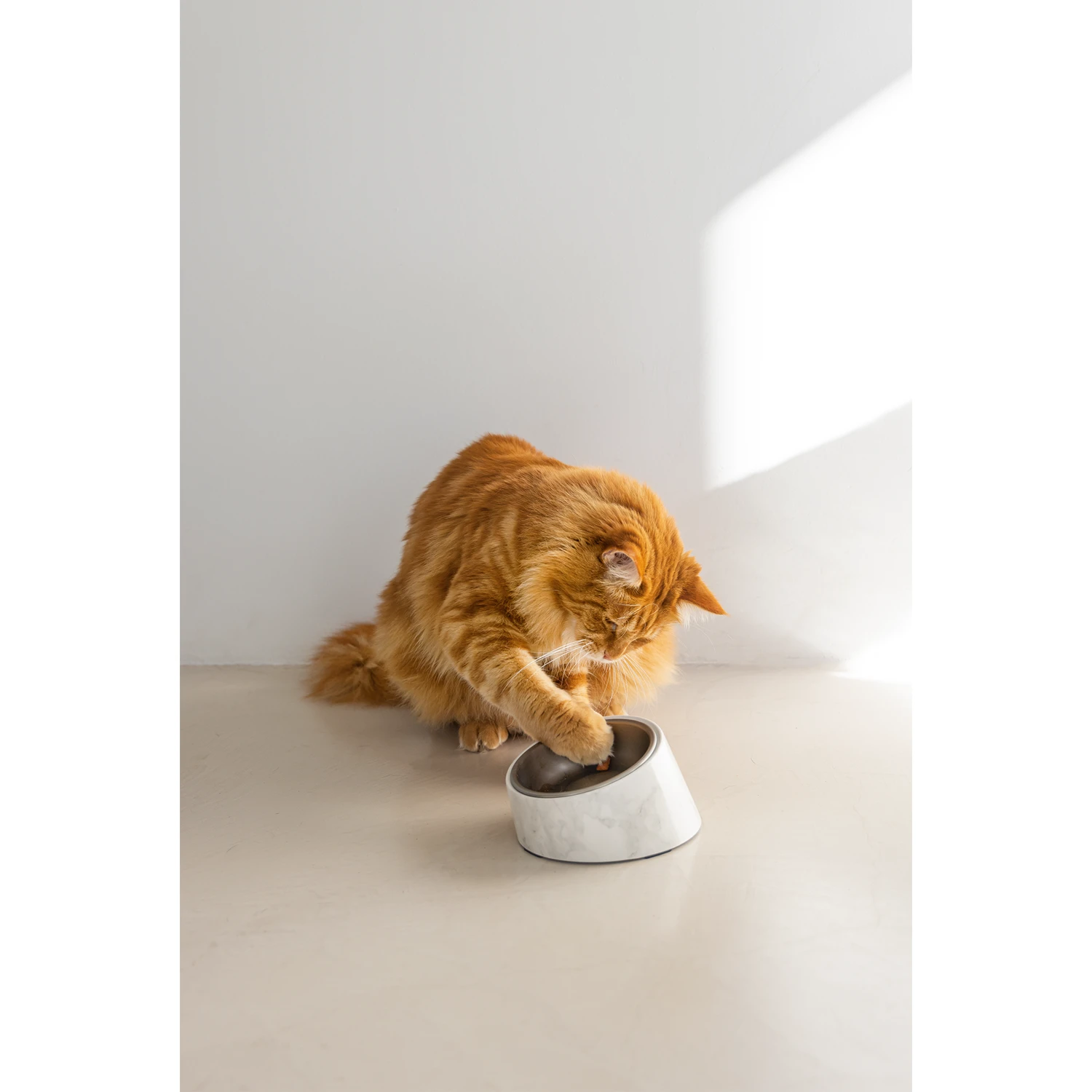 Designed By Lotte Kattenvoerbak Vita 10 Designed By Lotte Kattenvoerbak Vita - Afbeelding 10