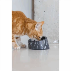 Designed By Lotte Kattenvoerbak Vita 18 Designed By Lotte Kattenvoerbak Vita -Kattenbenodigdheden Winkel designed by lotte kattenvoerbak vita 221522 1500 none