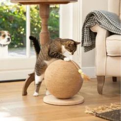 Designed By Lotte Krabbol Balty -Kattenbenodigdheden Winkel designed by lotte krabbol balty 164809 2000 none