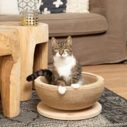 Designed By Lotte Krabmand Zaina -Kattenbenodigdheden Winkel designed by lotte krabmand zaina 198045 1000 none