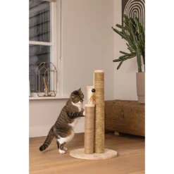 Designed By Lotte Krabpaal Willa -Kattenbenodigdheden Winkel designed by lotte krabpaal willa 222708 2000 none