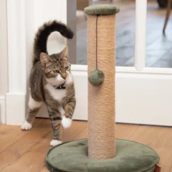 Designed By Lotte Krabpaal Yenna -Kattenbenodigdheden Winkel designed by lotte krabpaal yenna 164437 2000 none