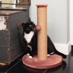 Designed By Lotte Krabpaal Yenna -Kattenbenodigdheden Winkel designed by lotte krabpaal yenna 164443 2000 none