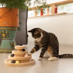 Designed By Lotte Speeltoren Mia -Kattenbenodigdheden Winkel designed by lotte speeltoren mia 193658 1000 none