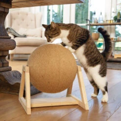 Designed By Lotte Xem Krabbol -Kattenbenodigdheden Winkel designed by lotte xem krabbol 164833 2000 none