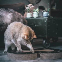 District 70 Snake -Kattenbenodigdheden Winkel district 70 snake kattenspeelgoed 190421 2000 none