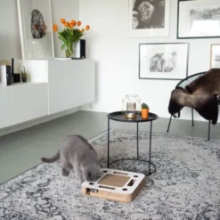 District 70 Spy -Kattenbenodigdheden Winkel district 70 spy 133861 0500 none