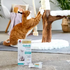 Doppelherz Gelenk Complex Voor Katten 11 Doppelherz Gelenk Complex Voor Katten -Kattenbenodigdheden Winkel doppelherz gelenk complex fuer katzen 195053 1000 none