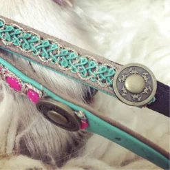 DWAM Kattenhalsband Tommy -Kattenbenodigdheden Winkel dwam kattenhalsband tommy 166396 1000 none