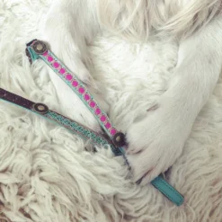 DWAM Kattenhalsband Tommy -Kattenbenodigdheden Winkel dwam kattenhalsband tommy 166399 1000 none